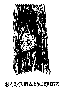 067-1.gif