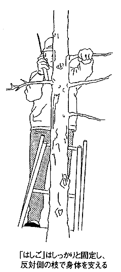 068-1.gif