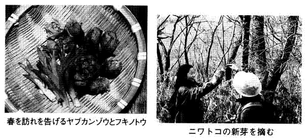 074-1.gif