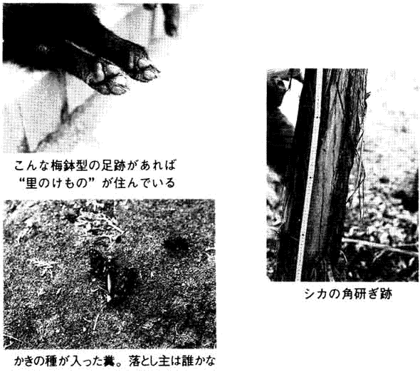 075-1.gif