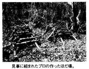 076-1.gif
