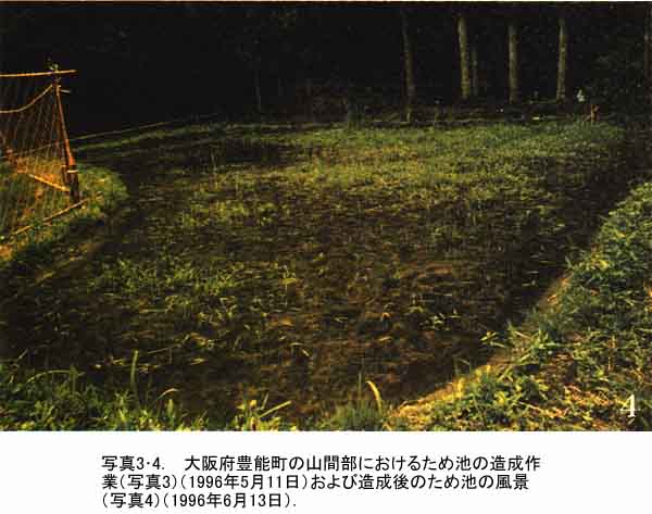022-2.jpg