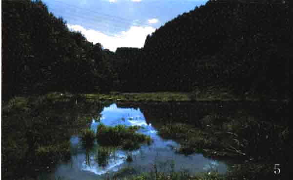 023-1.jpg