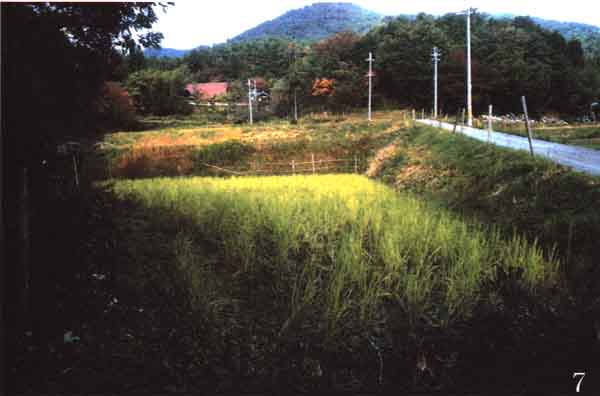 024-1.jpg