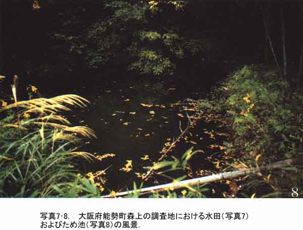 024-2.jpg