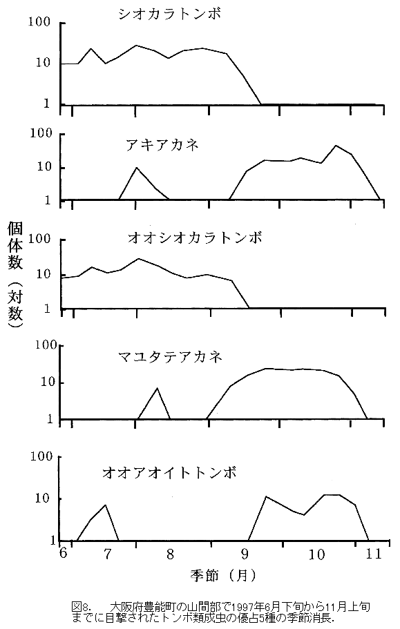 030-1.gif