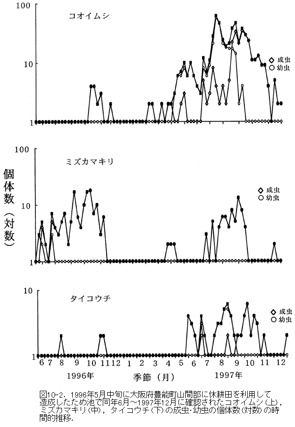 040-1.gif