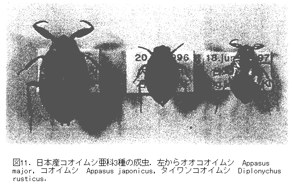 041-2.gif