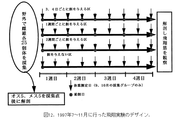 042-1.gif