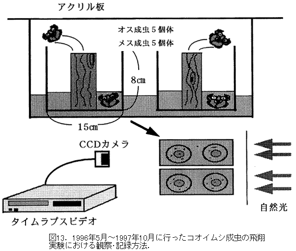 042-2.gif
