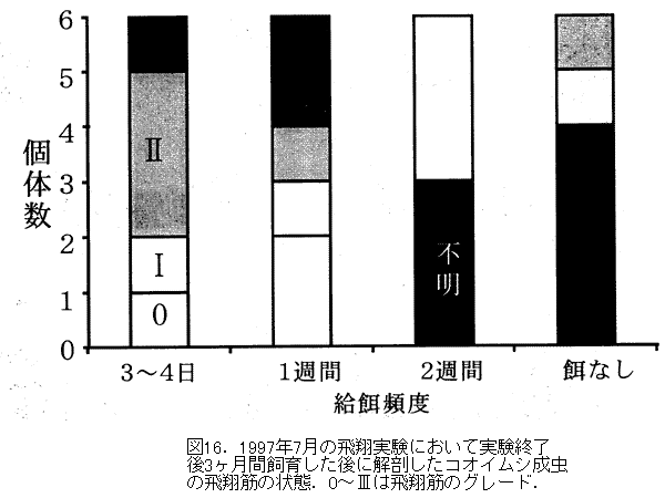 044-1.gif