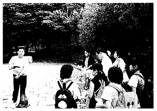 017-1.gif