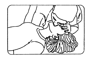 066-1.gif