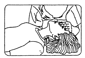 066-2.gif