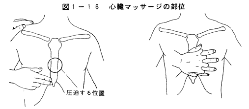 027-1.gif