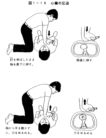 028-1.gif