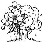 045-2.gif