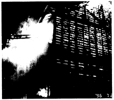 011-1.gif