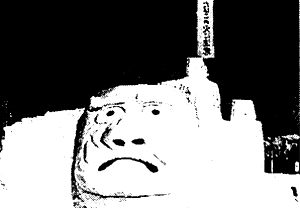 020-1.gif