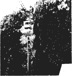 020-2.gif