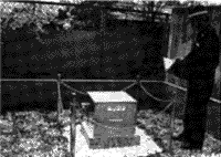 021-2.gif