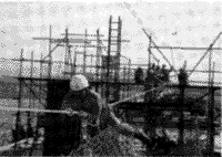 021-7.gif