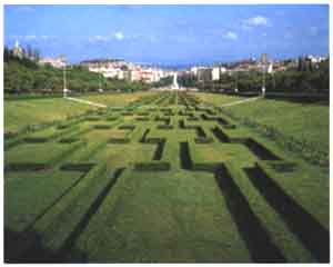 006-2.jpg