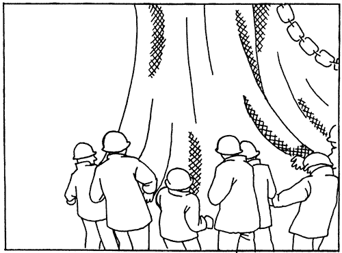 040-2.gif