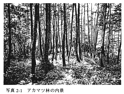020-1.gif