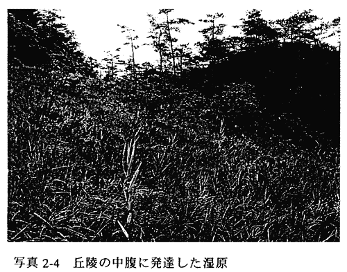 020-4.gif