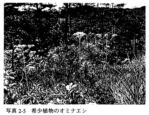 021-1.gif