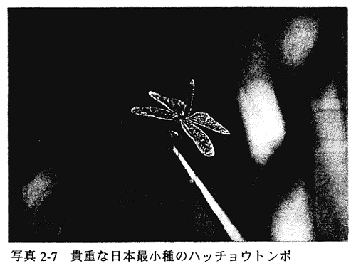 027-1.gif