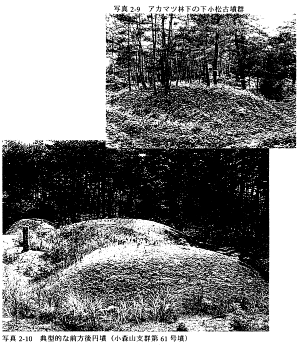 031-1.gif