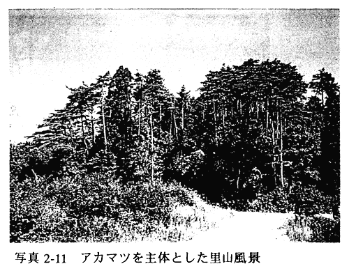 034-1.gif