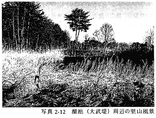035-1.gif