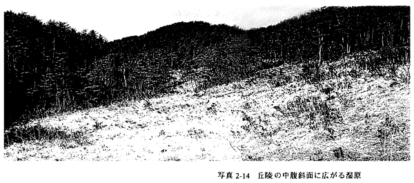 036-1.gif