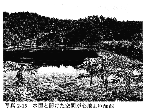 036-2.gif