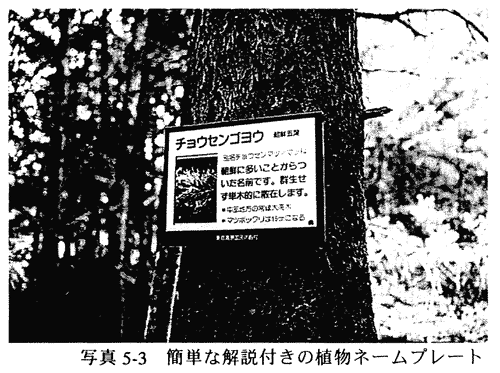 065-1.gif