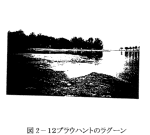 039-1.gif
