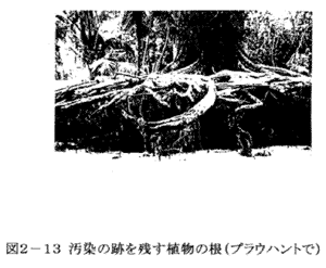 039-2.gif