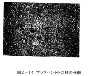 039-3.gif