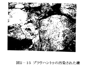 039-4.gif