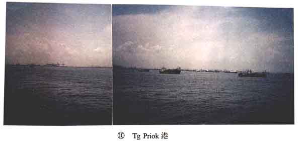048-1.jpg
