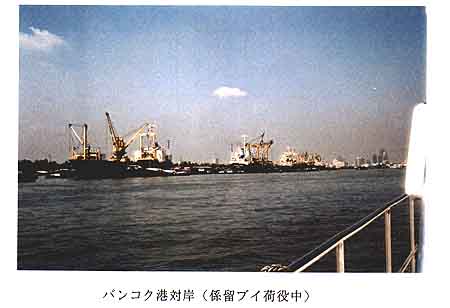 219-2.jpg