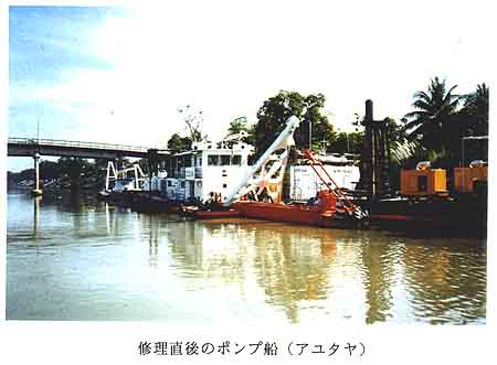 223-1.jpg