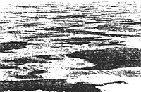 070-5.gif