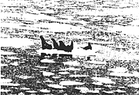 070-7.gif