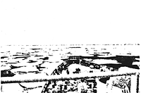 070-8.gif
