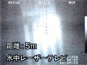 056-4.jpg