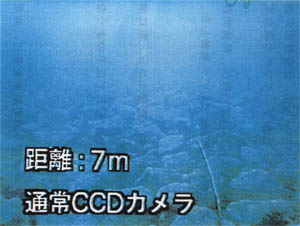 057-1.jpg